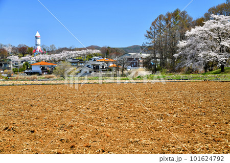 稲荷山公園周辺(長野県佐久市)【2023.4】 101624792