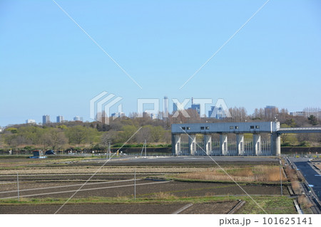 秋ヶ瀬取水堰 荒川 右岸から見た取水堰とさいたま市都心ビル 秋ヶ瀬取水堰 荒川 右岸から見た取水堰とさいたま市都心ビル 101625141