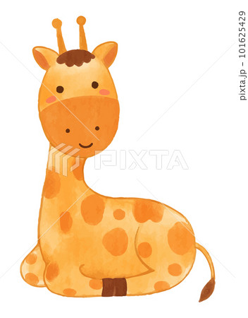 Giraffe . Watercolor paint design . Cute animal cartoon character . Sitting position . Vector . 101625429