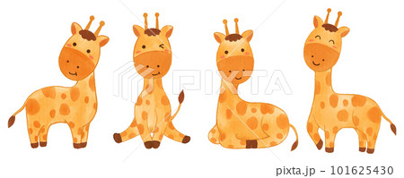 Giraffe . Watercolor paint design . Set of cute animal cartoon character . Vector . 101625430
