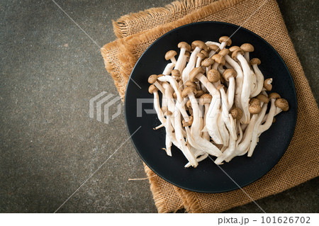 fresh brown beech mushroom or black reishi mushroom fresh brown beech mushroom or black reishi mushroom 101626702