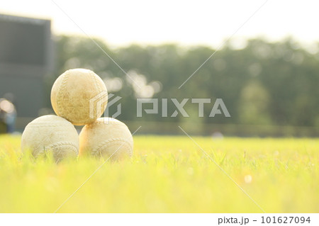 野球ボール 101627094