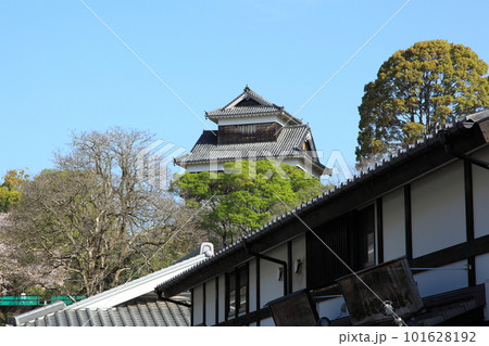 熊本城の櫓 熊本城の櫓 101628192