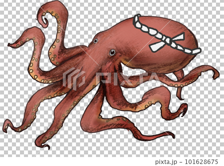 A realistic octopus wrapped in a headband 101628675