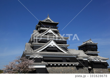 春の熊本城 天守閣 春の熊本城 天守閣 101628678