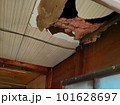 古い民家の穴の開いた天井 101628697