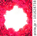 赤い薔薇のフレーム 101628738