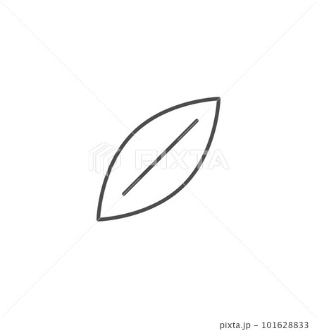 Leaf related vector linear icon 101628833