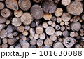 積み上げられた薪 101630088