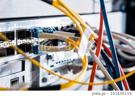 colorful patch cables connected to switch - high speed internet concept colorful patch cables connected to switch - high speed internet concept 101630119
