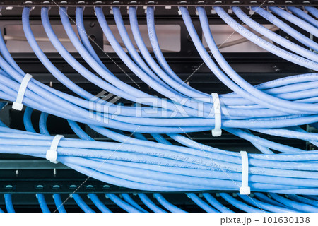 bunch of patch network cables sorted in rack cabinet, leading from patch panel in the server rack in the data center room 101630138