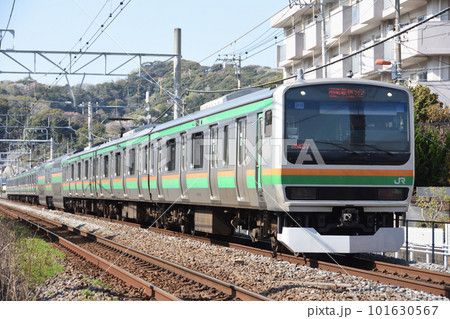 湘南新宿ライン(横須賀線) E231系(鎌倉ー逗子) 101630567