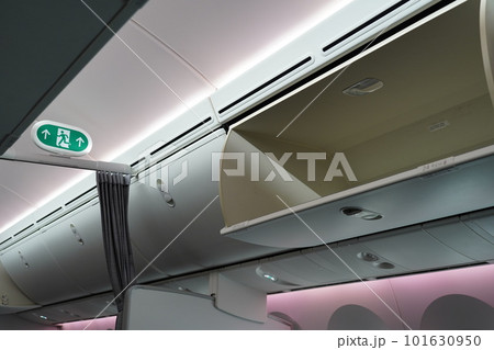 787 飛行機 航空機 101630950