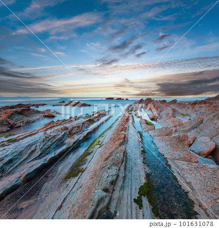 Twilight ocean coast with ribbed stratiform rock. 101631078