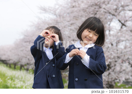 幼稚園の制服を着た姉妹と満開の桜 101631570