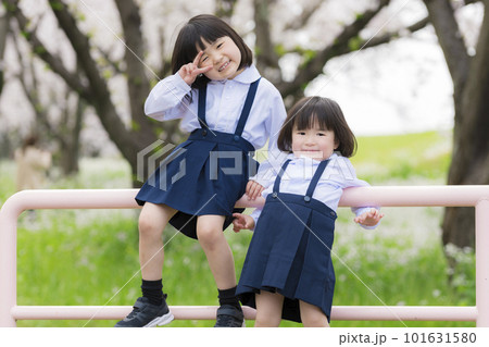 幼稚園の制服を着た姉妹と満開の桜 101631580
