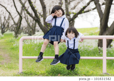 幼稚園の制服を着た姉妹と満開の桜 101631582