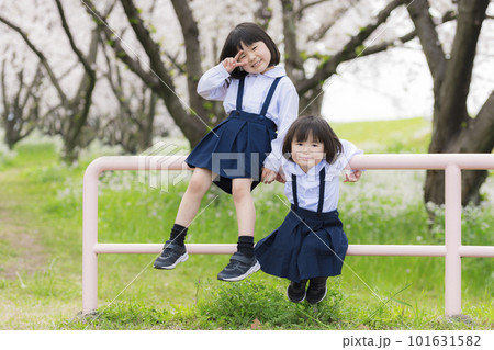 幼稚園の制服を着た姉妹と満開の桜の写真素材 [101631582] - PIXTA