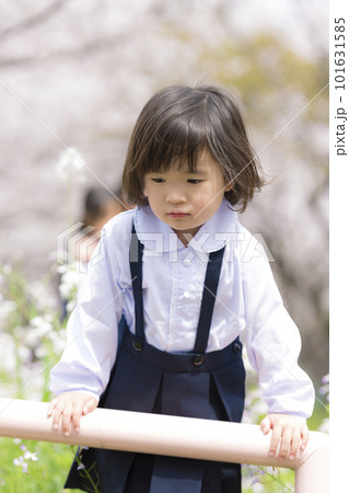 幼稚園の制服を着た年少の女の子と満開の桜の花の写真素材 [101631585] - PIXTA