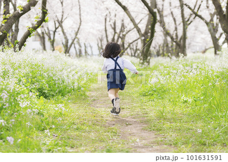 桜並木を走る幼稚園の制服を着た年長クラスの女の子 101631591