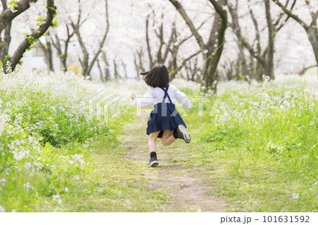 桜並木を走る幼稚園の制服を着た年長クラスの女の子 101631592