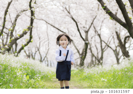 桜並木を走る幼稚園の制服を着た年少クラスの女の子 101631597