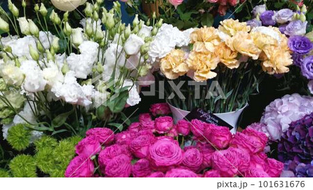 Roses, hydrangeas, chrysanthemums and other flowers in refrigerator room in a flower shop Roses, hydrangeas, chrysanthemums and other flowers in refrigerator room in a flower shop 101631676
