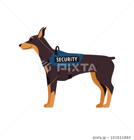Security service dog in special leash, vector illustration isolated on white. 101631884