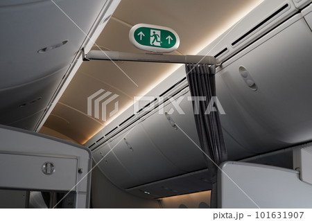 787 飛行機 航空機 101631907