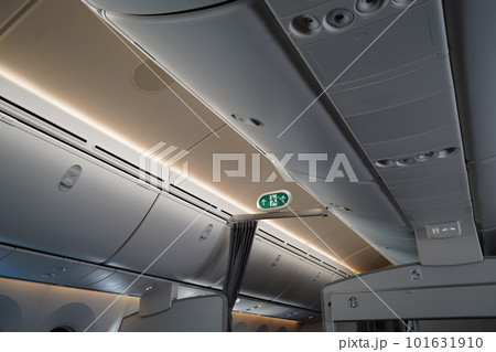 787 飛行機 航空機 101631910