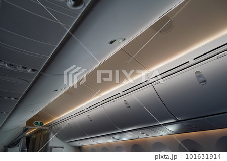 787 飛行機 航空機 101631914