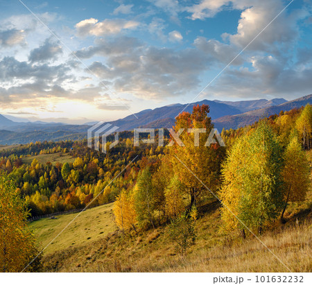 Autumn morning Carpathian Mountains calm picturesque scene, Ukraine. Peaceful traveling, seasonal, nature and countryside beauty concept scene. 101632232