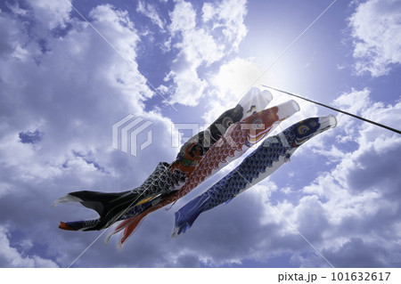 青空を泳ぐ鯉のぼり 青空を泳ぐ鯉のぼり 101632617