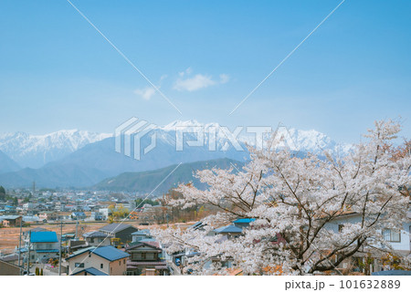 【春】市民の森からの眺め【大町市】 101632889