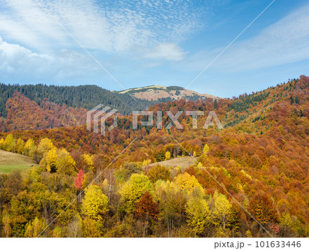 Autumn morning Carpathian Mountains calm picturesque scene, Ukraine. Peaceful traveling, seasonal, nature and countryside beauty concept scene. 101633446