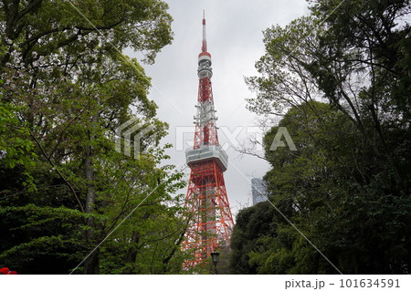 東京タワー 東京ﾀﾜｰ トウキョウタワー 101634591