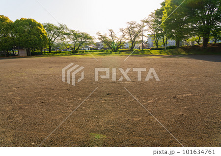 夕方の公園 101634761