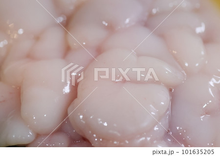 生の真鱈の白子 生の真鱈の白子 101635205