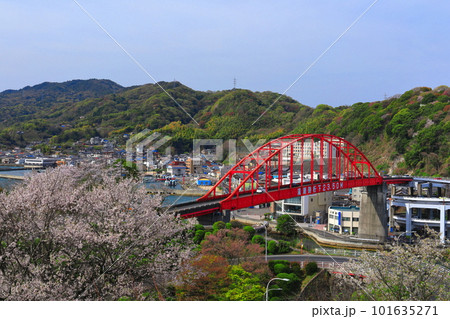 【広島県】桜が満開の音戸大橋（音戸の瀬戸） 101635271