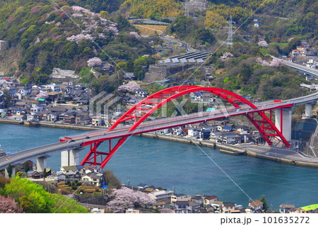 【広島県】桜が満開の第二音戸大橋（音戸の瀬戸） 101635272