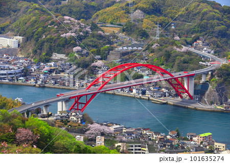 【広島県】桜が満開の第二音戸大橋（音戸の瀬戸） 101635274