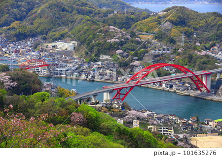 【広島県】桜が満開の音戸大橋と第二音戸大橋 【広島県】桜が満開の音戸大橋と第二音戸大橋 101635276