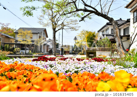 小布施 中町(長野県小布施町)【2023.4】 101635405