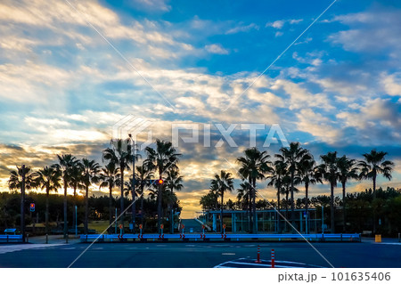 朝焼けに染まる空　浦安市総合公園（千葉県浦安市） 101635406