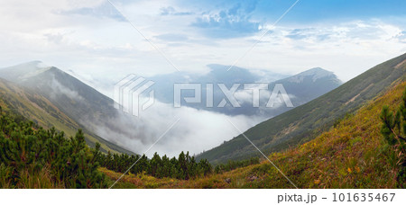 Misty Carpathian Mountains (Ukraine) landscape (with distant birds in sky). 101635467