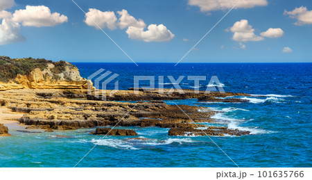 Summer Atlantic rocky coast view (Albufeira outskirts, Algarve, Portugal). 101635766