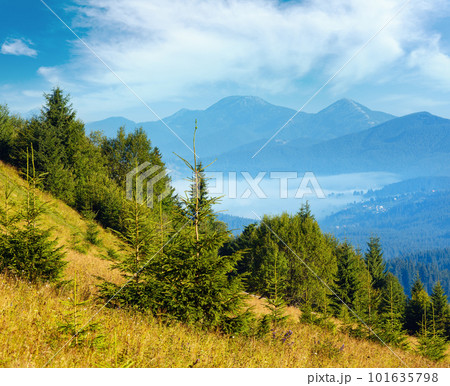 Summer mountain view (Carpathian, Kryvopillja, Verkhovyna district, Ivano-Frankivsk region, Ukraine). 101635798