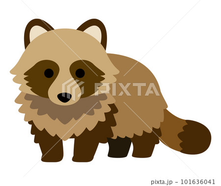 主線のないシンプルなタヌキのイラスト素材 101636041