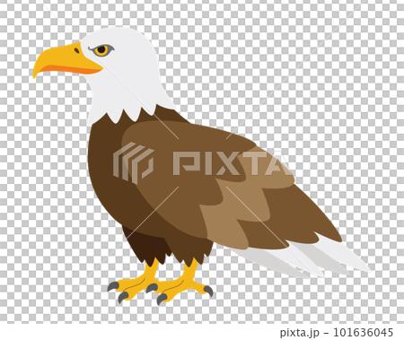 沒有主線的簡單老鷹插畫素材 101636045