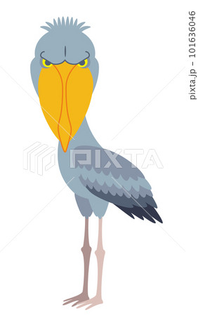 主線のないシンプルなハシビロコウのイラスト素材 101636046